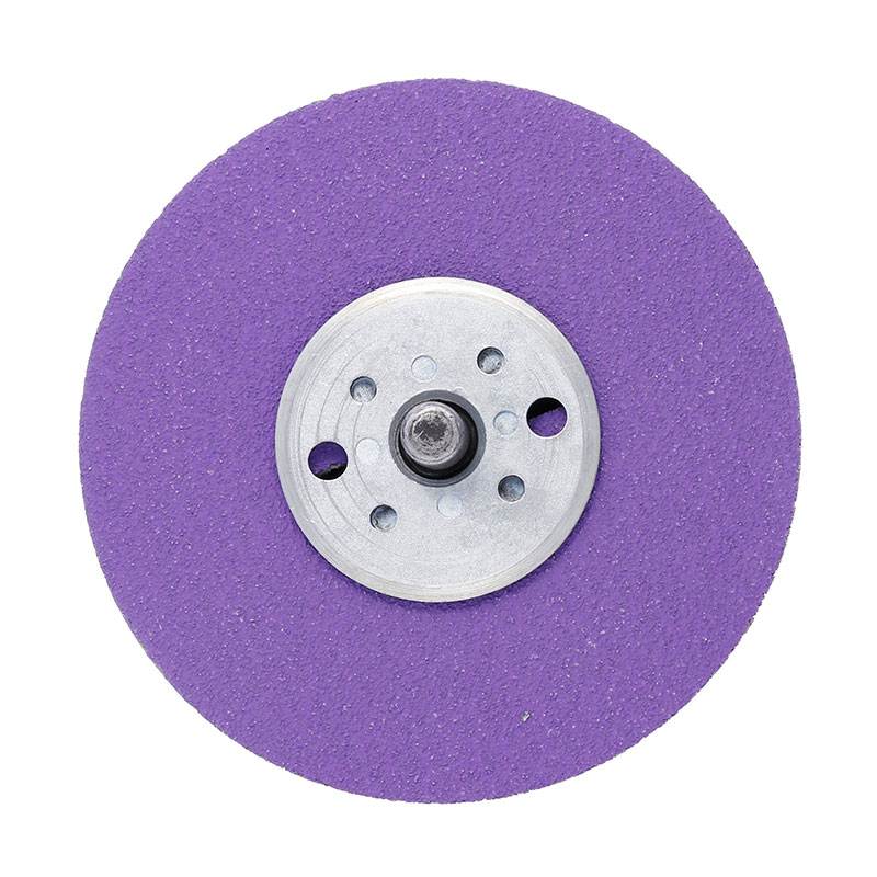 abrasive-disk-purple